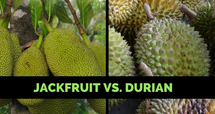 Durian Vs. Jackfruit: Are They The Same or Different?